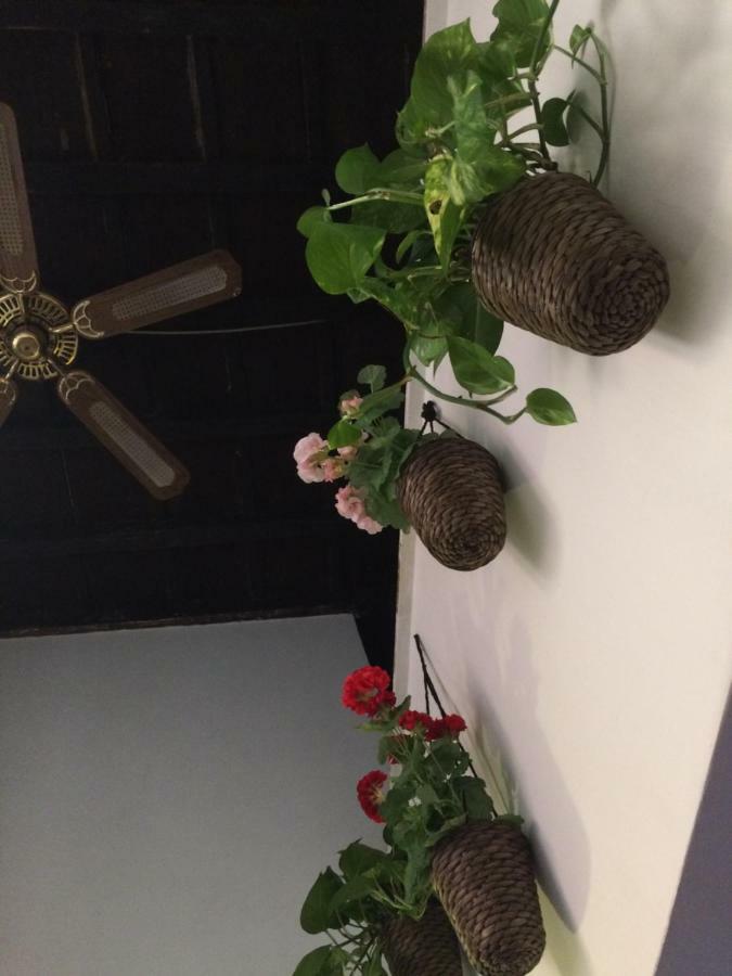 Moroni Trastevere Cozy Apartment Roma Ngoại thất bức ảnh